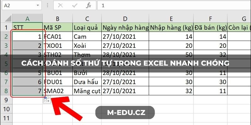 Cách đánh số thứ tự trong Excel nhanh chóng